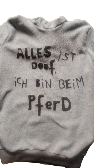 Alles ist doof, ich bin beim Pferd Hoodie hangemacht